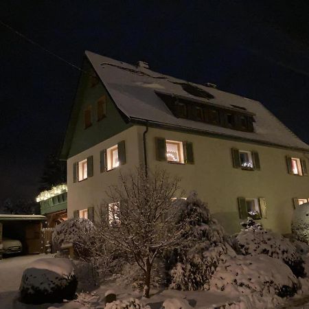 Ferienwohnung Ott Auerbach  Buitenkant foto