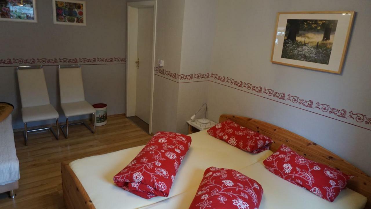 Ferienwohnung Ott Auerbach  Buitenkant foto