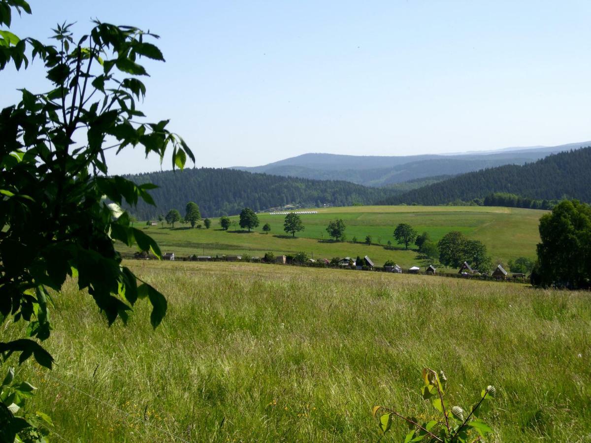 Ferienwohnung Ott Auerbach  Buitenkant foto